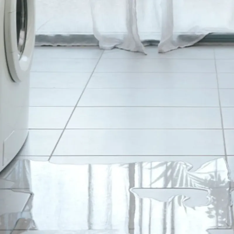 Appliance Leak Cleanup in Safety Harbor, FL